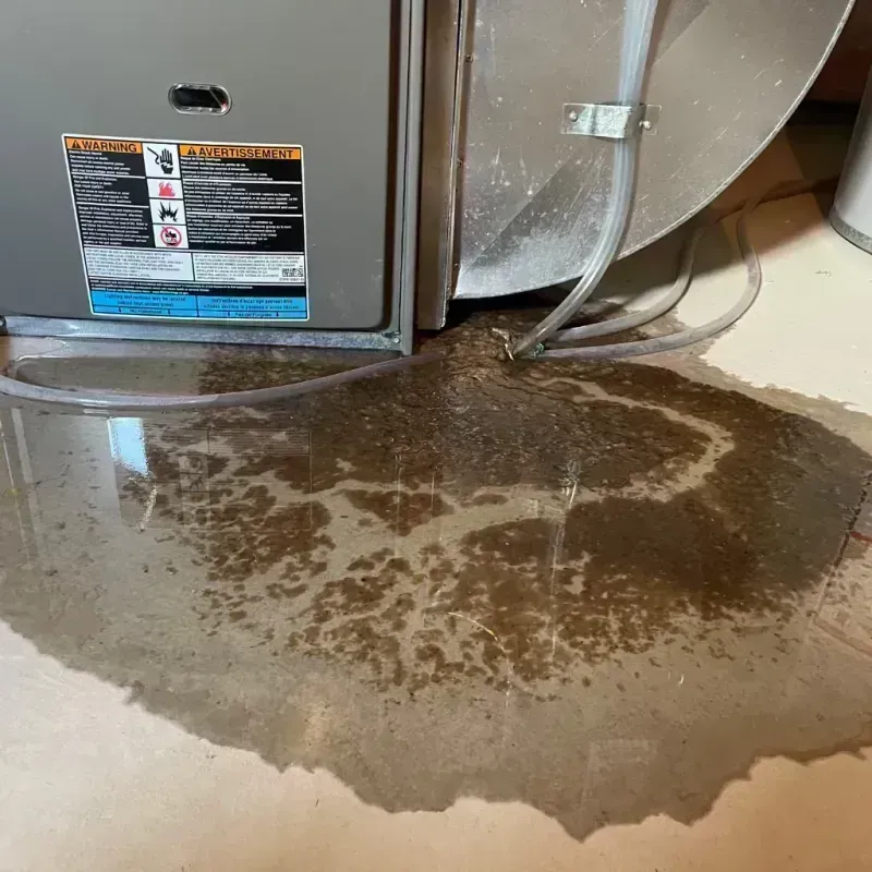 Appliance Leak Cleanup in Georgetown, KY